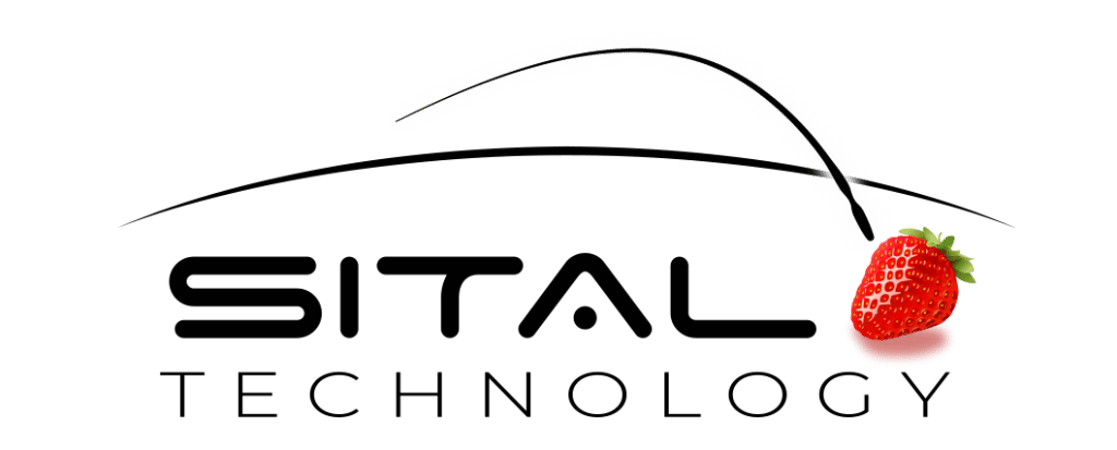 sital technology logo